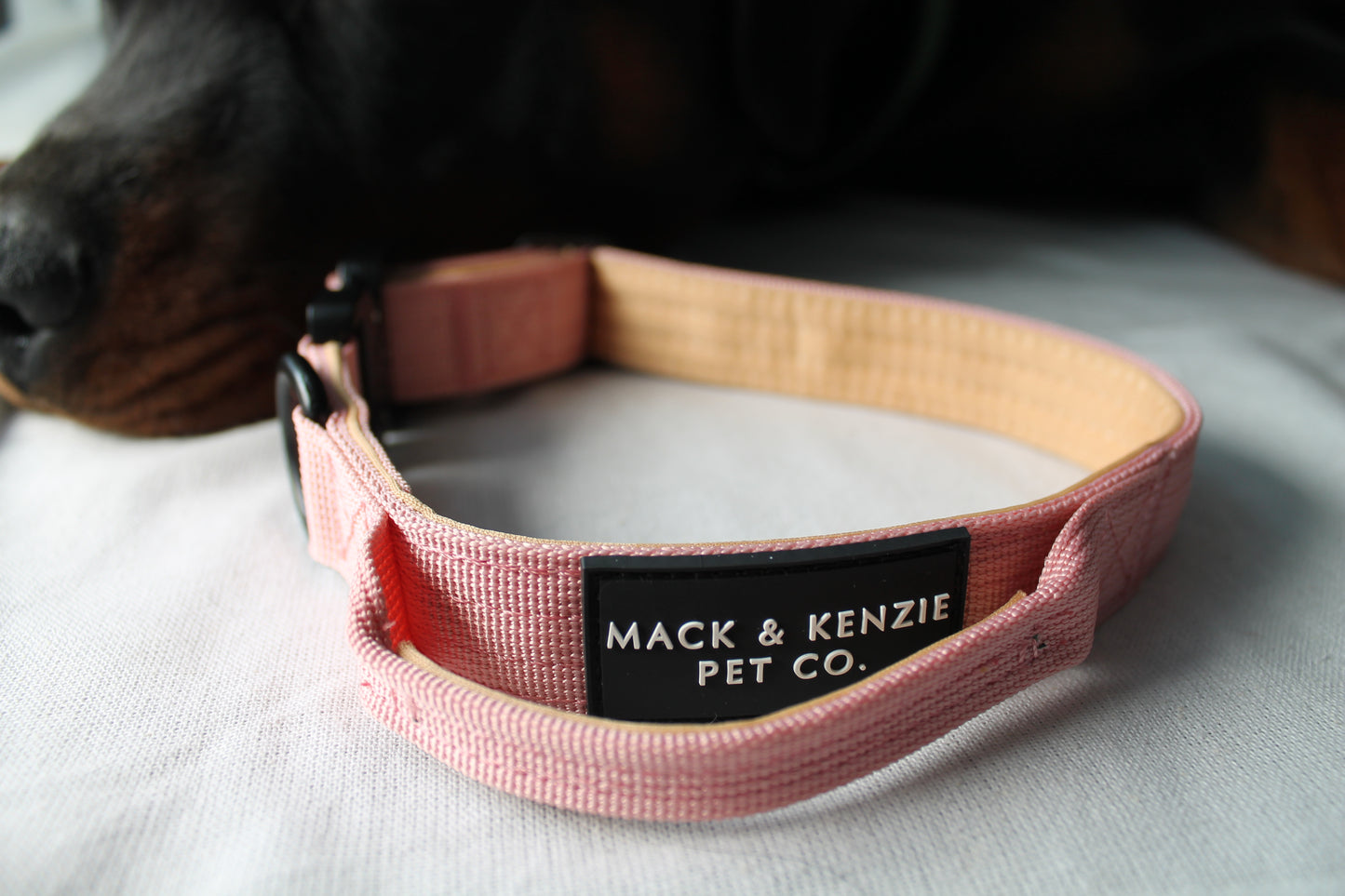 Tactical Dog Collar - Darling Pink