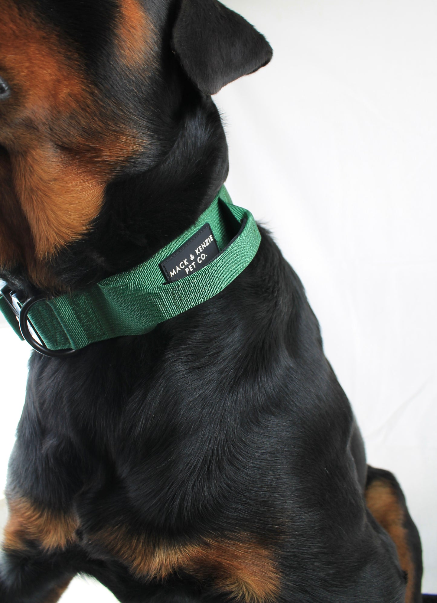 Tactical Dog Collar - Bavarian Green